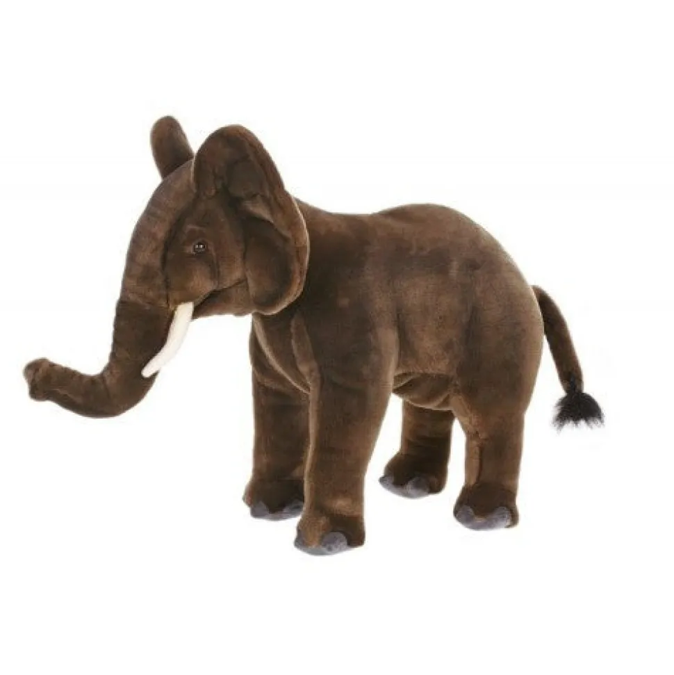 African Elephant