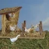 Bird Shelter, Fontanini, 56599