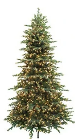 Bryce Canyon Pine 7.5'