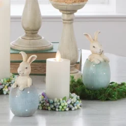 Bunny In Egg