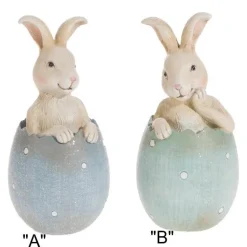 Bunny In Egg