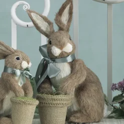 Bunny, Sitting