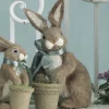 Bunny, Sitting