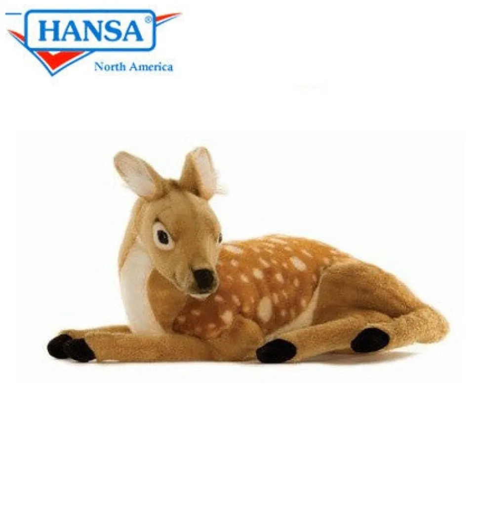 Deer Laying Down