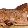 Donkey 50", Fontanini, 52333