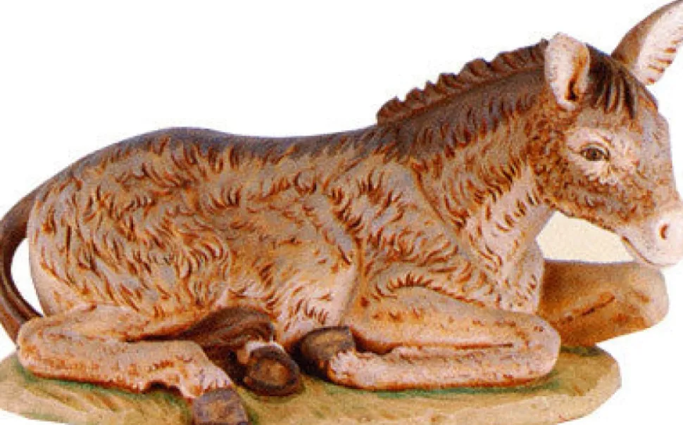 Donkey 50", Fontanini, 52333