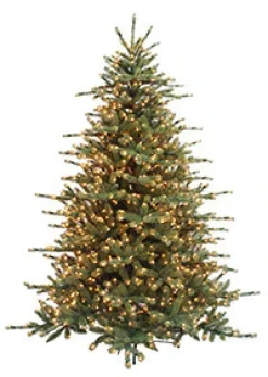 Grand Spruce 9'