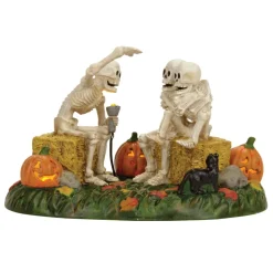 Hv, Scary Skeleton Stories, 4056710, Halloween Village