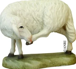 Koult - Sheep Grooming