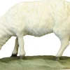 Koult - Sheep Grazing