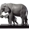Leading The Way, Elephants