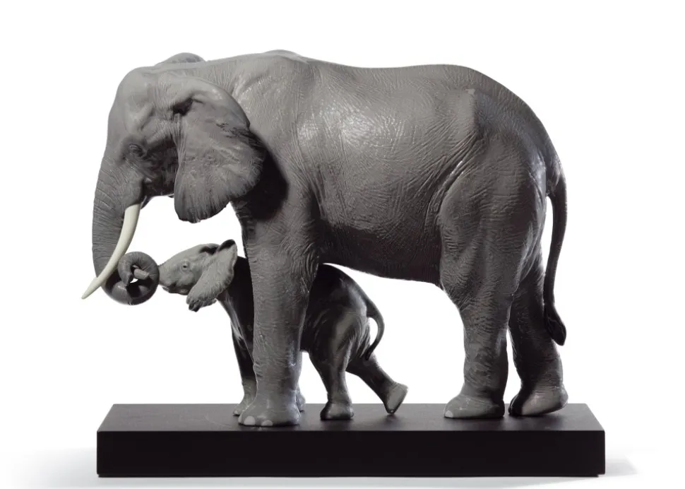 Leading The Way, Elephants