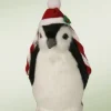 Penguin, Byers Choice, 681