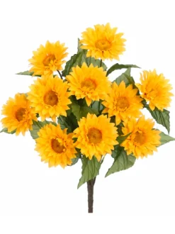 Sunflower Bush X10 Yellow