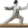 Tai Chi