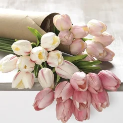 Tulip Bundle