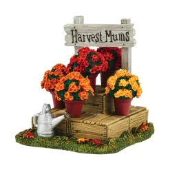 Va, Harvest Fields Mums, 4054212, Department 56