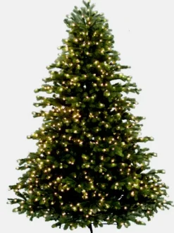 Virginia Fir 9', 89590L, Neuman Tree
