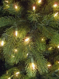 Virginia Fir 9', 89590L, Neuman Tree