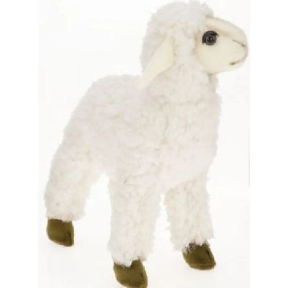White Sheep Kid